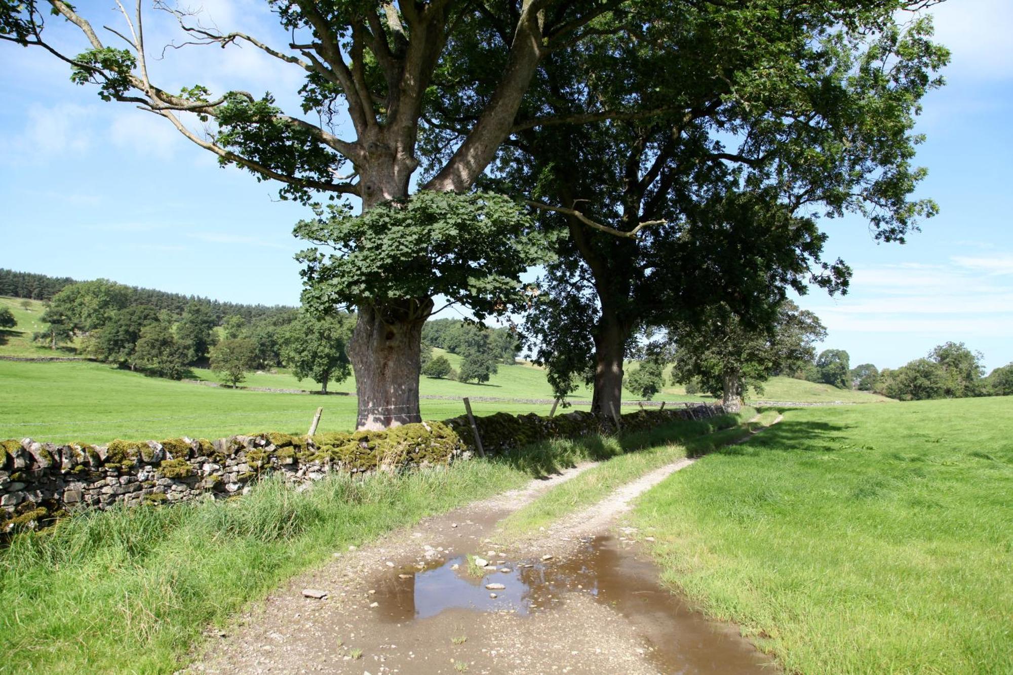 Green Grove Country House Malham Zewnętrze zdjęcie